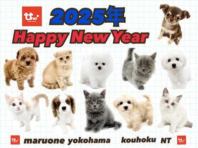 【 お知らせ 】2025年！新しい出会いをマルワン横浜 港北NT店で！