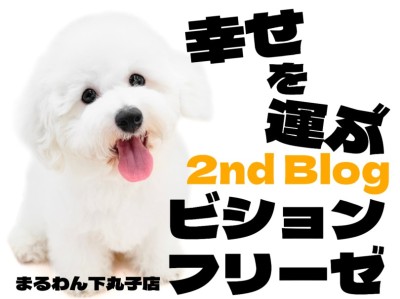 【 ビションフリーゼ 】アフロと笑顔がトレードマーク！愛されわんこの2ndブログ