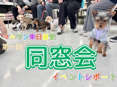 【 イベントレポート 】マルワン東日暮里店にて同窓会イベント開催！