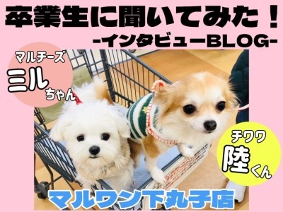 【 下丸子店卒業生インタビューVol.2 】愛犬との出会いから広がる優しい世界
