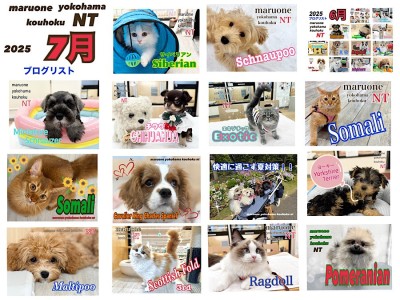 【 ブログリスト 】マルワン港北NT店7月のブログ記事まとめ