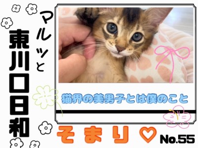 【 マルっと東川口日和No.55 】不思議な魅力を醸し出す激かわソマリちゃん！