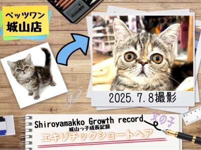 【 エキゾチック 】 城山っ子成長報告！2025年7月9日