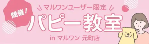 元町パピー教室
