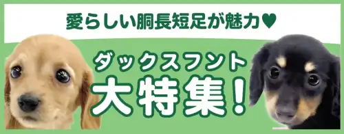 特集犬ダックスフント