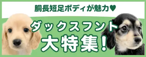 特集犬ダックスフント