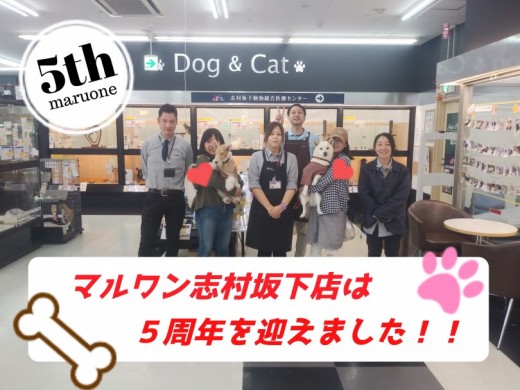 【 志村坂下店5周年 】スーパーセールも開催！一緒に育てるチーム志村坂下！