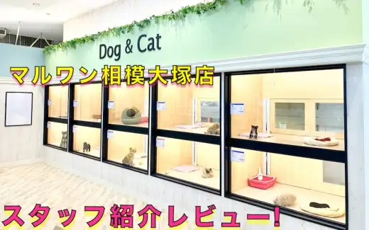 【 店舗紹介 】相模大塚店のスタッフをご紹介♪ペットとの馴れ初めもお話！