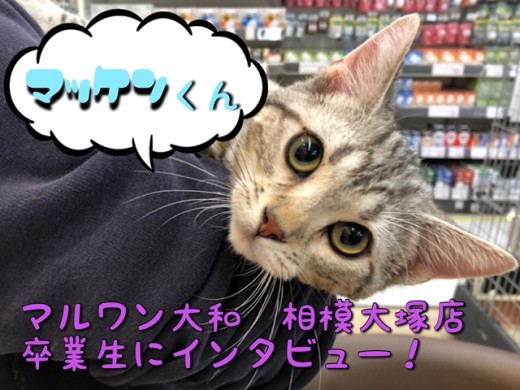 【 卒業生インタビュー 】成約者様限定のアフターサポートとは？マッケンくんに密着