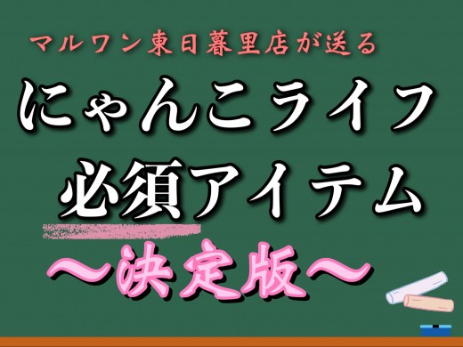 【 ビギナー必見 】お迎えに向けて準備するべきアイテム決定版！～にゃんこ編～