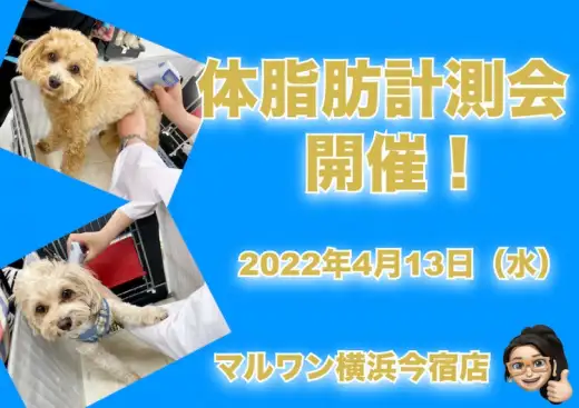 【 今宿店イベント情報 】4/13（水）ワンちゃんの体脂肪計測会のお知らせ！