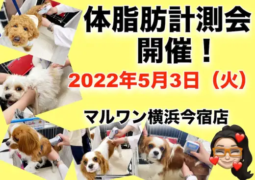 【 今宿店イベント情報 】5/3（火）ワンちゃんの体脂肪計測会のお知らせ！
