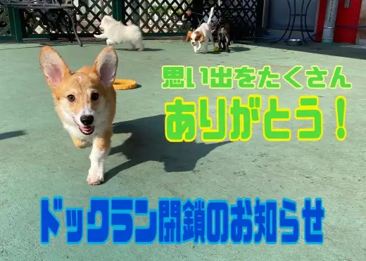 【 ドッグラン閉鎖のお知らせ】楽しい思い出をありがとう！！