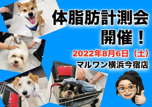 【 今宿店イベント情報 】8/6（土）ワンちゃんの体脂肪計測会のお知らせ！