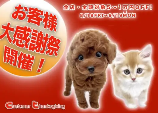 【 お客様大感謝祭開催 】マルワンからBIGなプレゼント企画スタート！