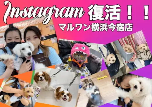 【 今宿店からのお知らせ 】インスタグラム復活のお知らせ！！