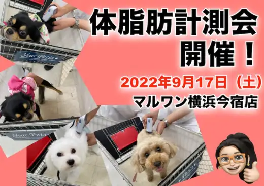 【 今宿店イベント情報 】9/17（土）ワンちゃんの体脂肪計測会のお知らせ！