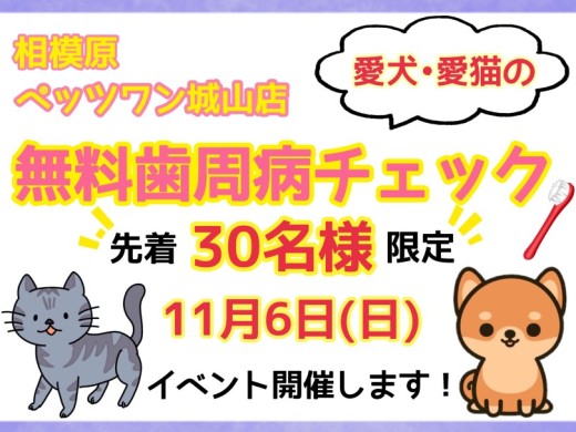 【 イベント 】11月6日（日曜日）に歯周病予防イベント開催！