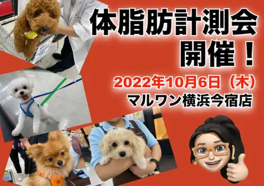 【 今宿店イベント情報 】10/6（木）ワンちゃんの体脂肪測定会のお知らせ！