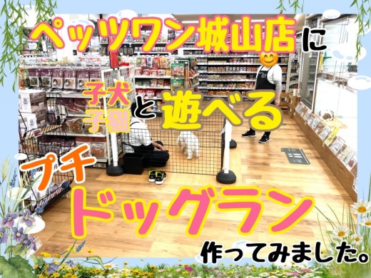 【 お知らせ 】もっとワンちゃんネコちゃんとお客様が近いお店に！