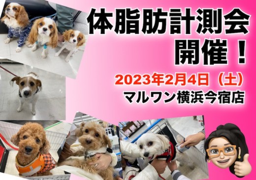 【 今宿店イベント情報 】2/4(土)ワンちゃんの体脂肪測定会のお知らせ！