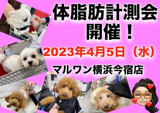 【 今宿店イベント情報 】4/5（水）ワンちゃんの体脂肪計測会のお知らせ！