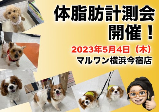 【今宿店イベント情報】5/4（木）ワンちゃんの体脂肪計測会のお知らせ！