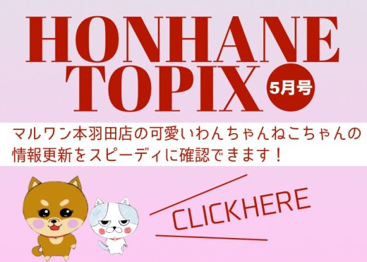 【 HONHANE トピックス5月版 】マルワン本羽田店の5月の情報配信を確認!