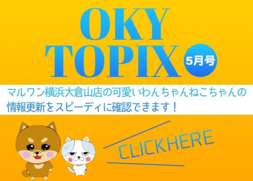 【 OKURAYAMA トピックス5月版 】マルワン大倉山店の5月の情報配信を確認！