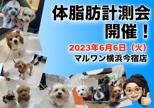 【 今宿店イベント情報 】6/6（火）ワンちゃんの体脂肪測定会のお知らせ！