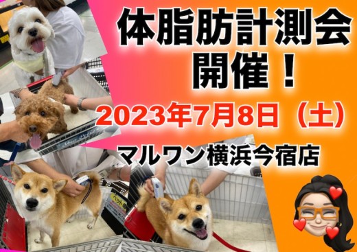 【 今宿店イベント情報 】7/8（土）ワンちゃんの体脂肪測定会のお知らせ！