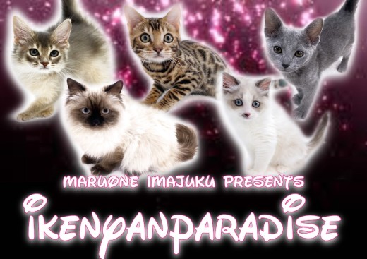 【 今宿ニャンコ 】マルワン横浜今宿店のイケニャン祭り!C5の最新情報をお届け!