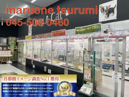 【 マルワン横浜鶴見店 】お店の紹介&アクセス方法