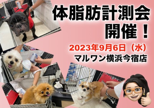 【 今宿店イベント情報 】9/6（水）ワンちゃんの体脂肪計測会のお知らせ！