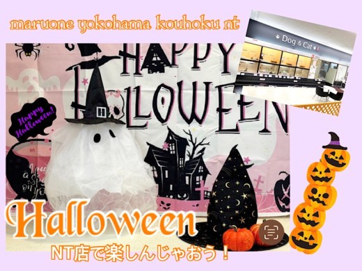 【 お知らせ 】NT店でハッピーハロウィン楽しんじゃおう！