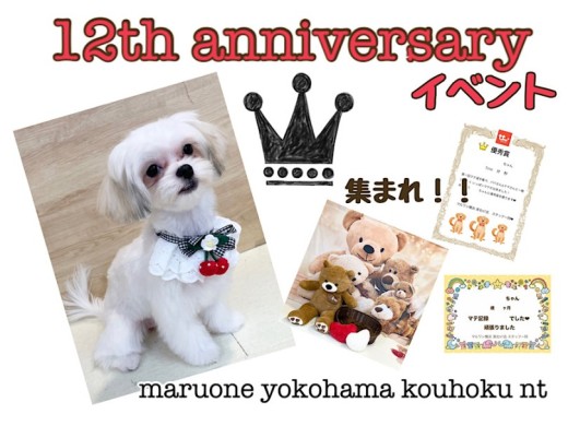 【 お知らせ 】祝港北NT店12周年イベントやっちゃいます！実家に遊びにきてね