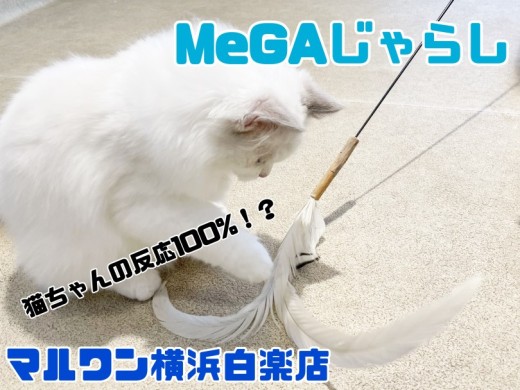【 商品紹介 】全長なんと170cm！にゃんズ食いつき100%のMeGAじゃらし