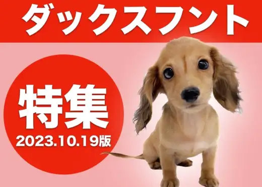 【 ダックス特集 】10/19現在在店中のヨチヨチ短足ダックスちゃん！！