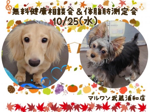 【 お知らせ 】10/25(水)無料健康相談会&体脂肪測定会開催！