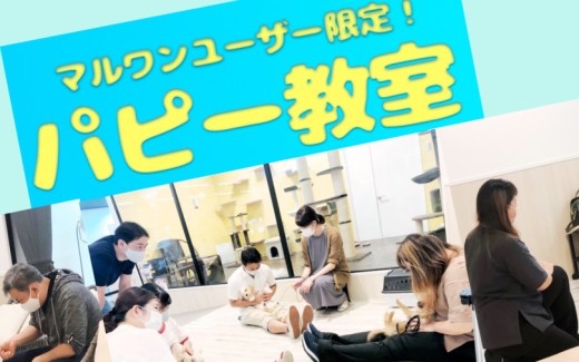 【 お知らせ 】横浜元町店5月のパピー教室のご案内！