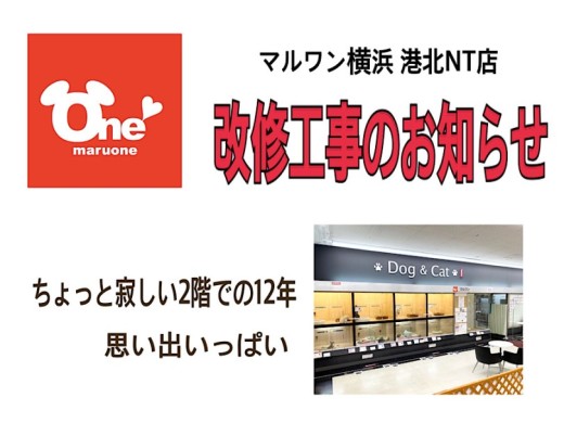 【 お知らせ 】改装に伴う休業について