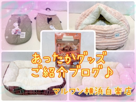 【 商品紹介 】本格的な冬に備えよう！愛犬愛猫用あったかグッズご紹介