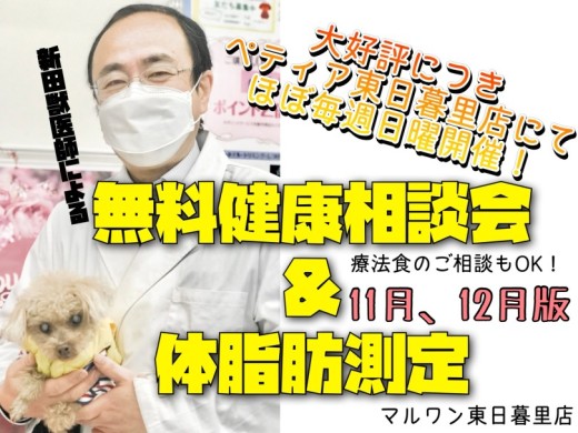 【 体脂肪測定 】11月測定風景と12月日程