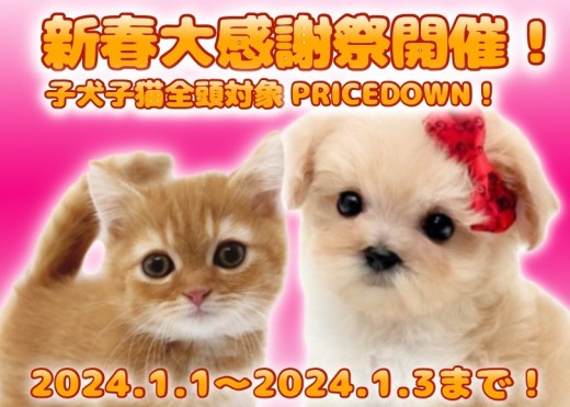 【 お年玉企画 】2024年新春大感謝祭開催のお知らせ！