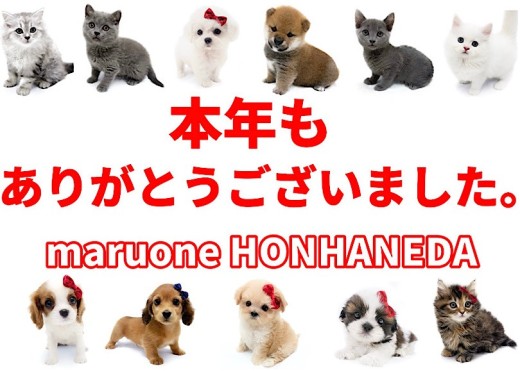【年末ご挨拶 】マルワン本羽田店より今年もありがとうございました！！