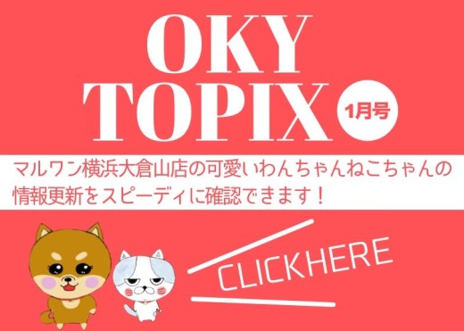 【 OKURAYAMA トピックス1月版】マルワン大倉山店の1月の情報配信を確認！
