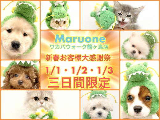 【 お知らせ 】2024年新春大感謝祭inワカバウォーク鶴ヶ島店