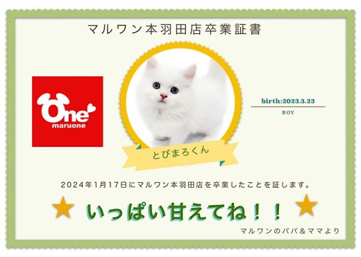 【 卒業記念 】ネヴァマスカレードちゃん卒業おめでとう！スタッフママよりお祝いの言葉〜卒業ブログ〜