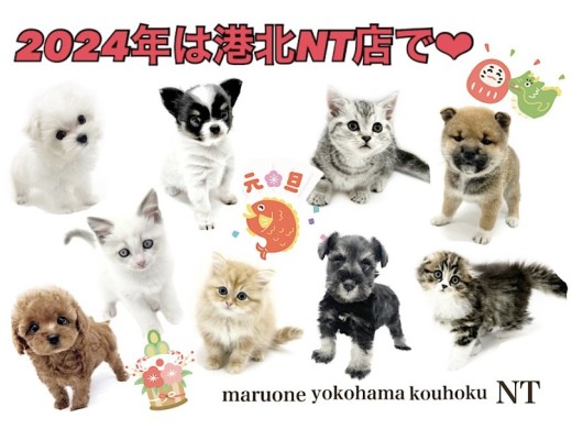 【 お知らせ 】2024年もマルワン港北NT店で！