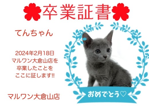 【卒業証書】てんちゃん卒業おめでとう！！スタッフママより愛を込めて！